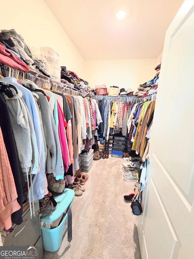 288 Mccall Way, Monroe, GA 30655 - spacious closet with carpet floors