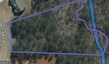 613 Forest Pointe Dr, Forsyth, GA 31029