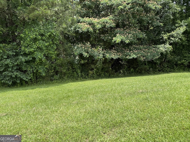613 Forest Pointe Dr, Forsyth, GA 31029