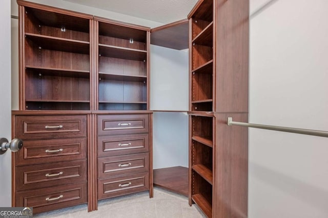 view of walk in closet