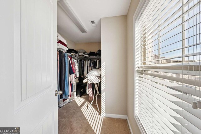 walk in closet featuring visible vents and carpet floors