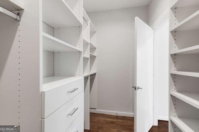 walk in closet featuring dark wood-type flooring