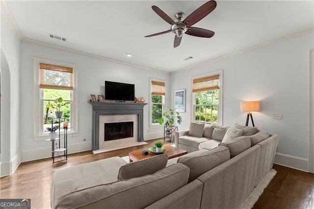 living room with crown molding, a premium fireplace, ceiling fan, and a wealth of natural light