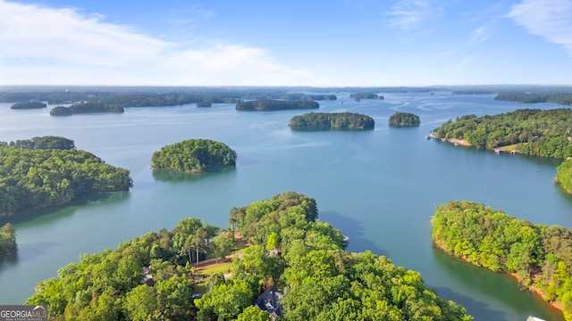 birds eye view of property with a water view and a forest view