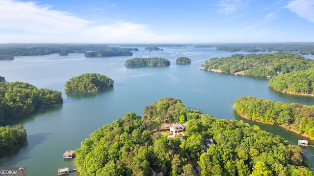 drone / aerial view featuring a water view and a view of trees