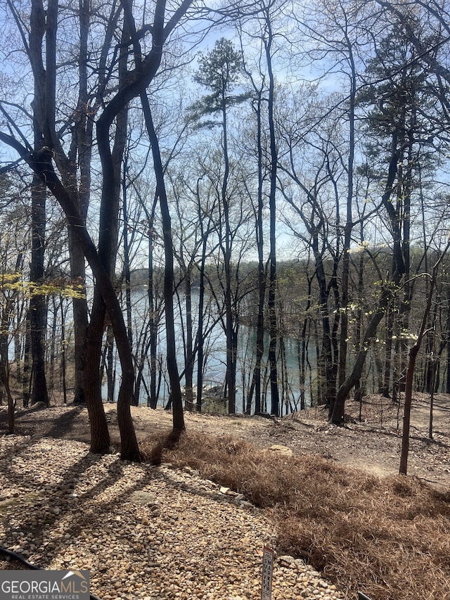 view of water feature