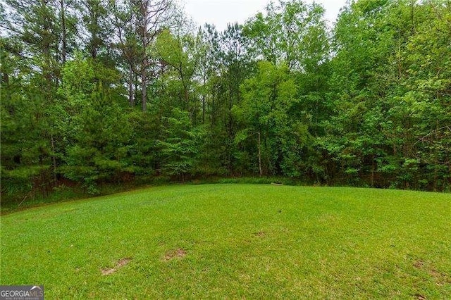 51 Sagemont Ct, Acworth, GA 30101 - view of yard