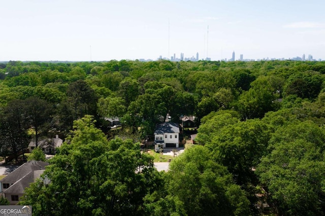 156 Martha Ave NE, Atlanta, GA 30317 - drone / aerial view of a heavily wooded area