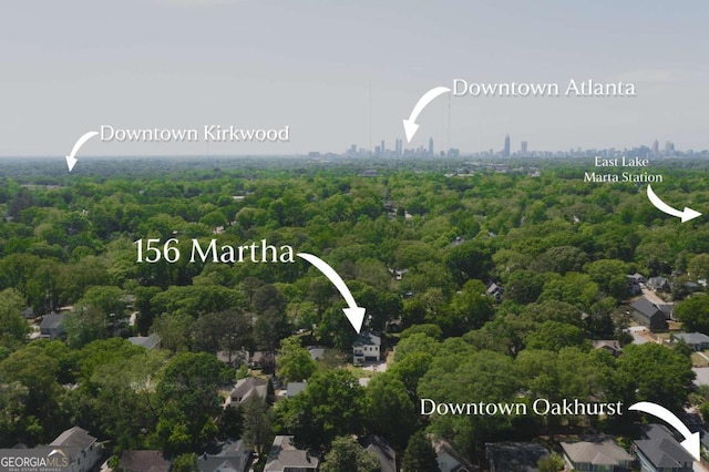 156 Martha Ave NE, Atlanta, GA 30317 - aerial view of a heavily wooded area