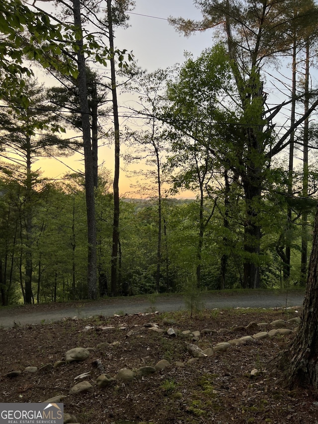 view of nature at dusk
