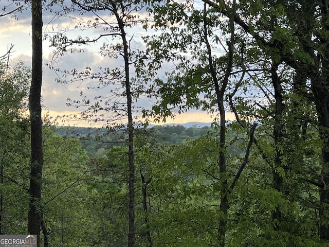 mountain view featuring a forest