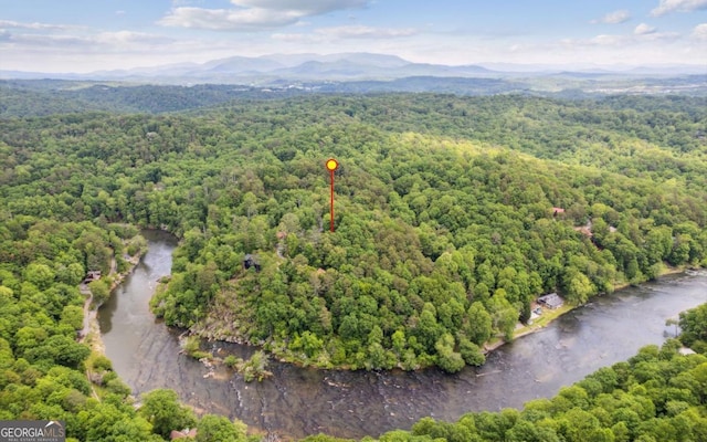 bird's eye view of a forest and mountains