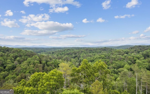 drone / aerial view of a heavily wooded area