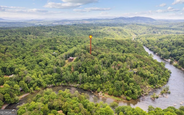 bird's eye view of a forest and mountains