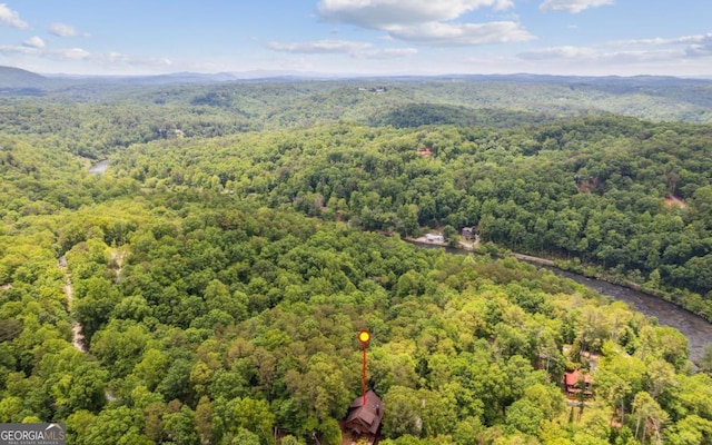drone / aerial view of a heavily wooded area