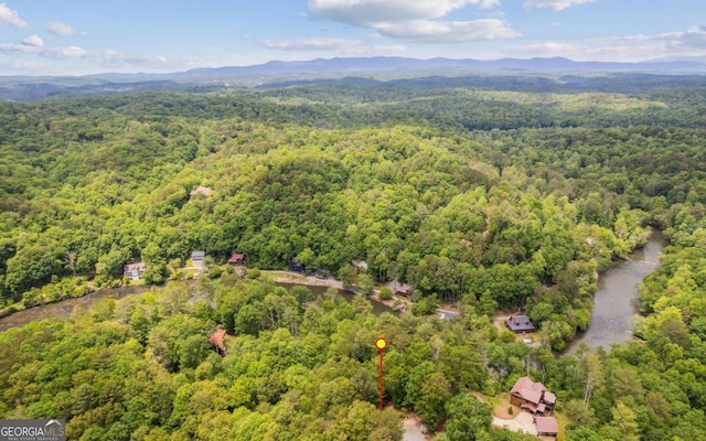 drone / aerial view of a forest and mountains