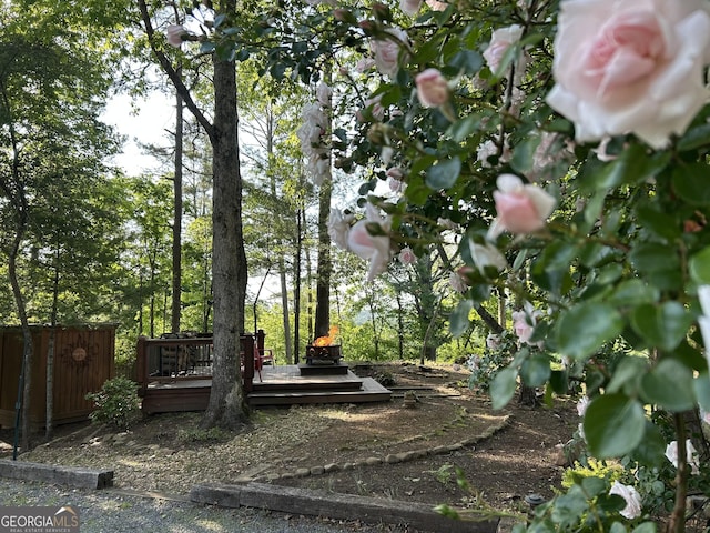 view of yard with a deck and fence