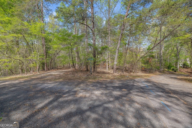 6711 Wildwood Trl, Gainesville, GA 30506
