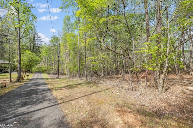 6711 Wildwood Trl, Gainesville, GA 30506