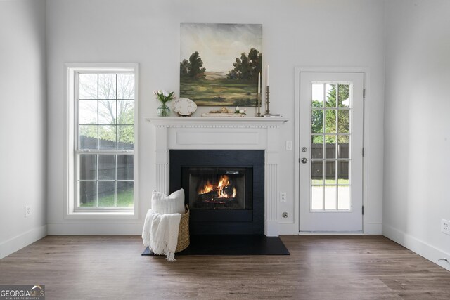 3047 Standing Rock Ct, Lithia Springs, GA 30122 - interior space featuring a fireplace with flush hearth, wood finished floors, and a wealth of natural light