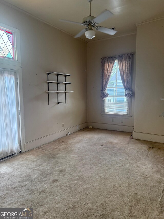 967 Cole St, Macon, GA 31201 - empty room with ornamental molding, carpet flooring, ceiling fan, and a healthy amount of sunlight