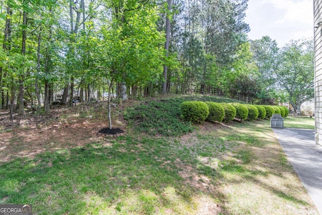 4319 Silver Peak Pkwy, Suwanee, GA 30024 - view of yard