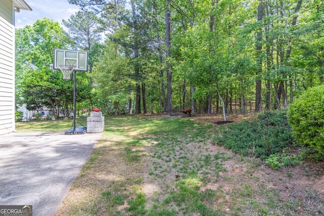 4319 Silver Peak Pkwy, Suwanee, GA 30024 - view of yard
