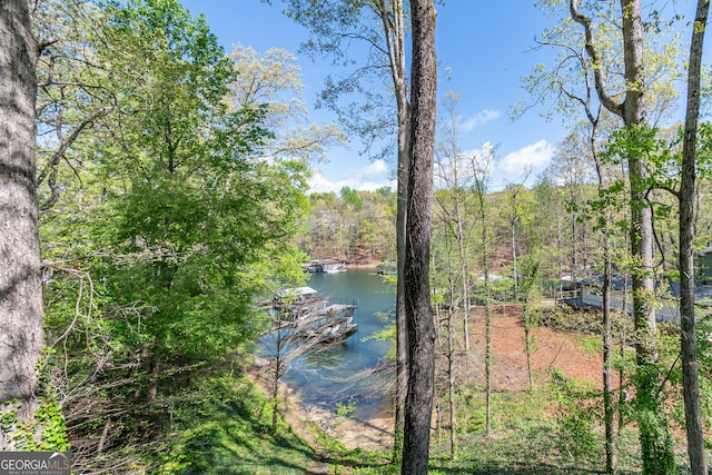 9240 Lisa Cir, Gainesville, GA 30506 - water view