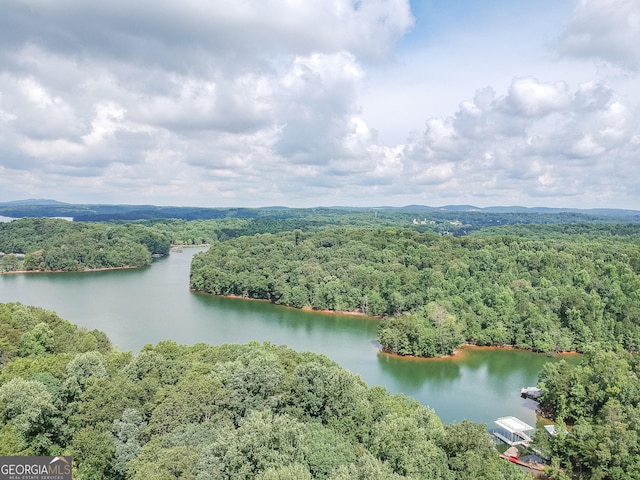9240 Lisa Cir, Gainesville, GA 30506 - drone / aerial view of a heavily wooded area and a nearby body of water