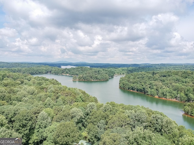 9240 Lisa Cir, Gainesville, GA 30506 - drone / aerial view of a heavily wooded area and a nearby body of water