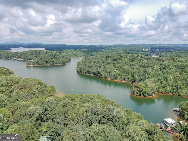 9240 Lisa Cir, Gainesville, GA 30506 - bird's eye view of a large body of water