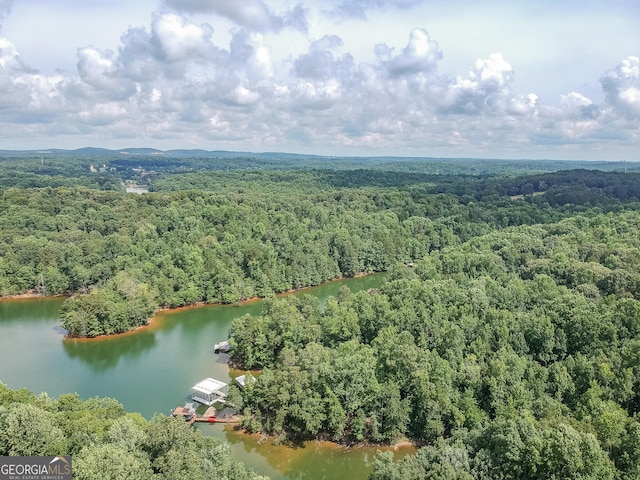 9240 Lisa Cir, Gainesville, GA 30506 - bird's eye view of a forest and a large body of water