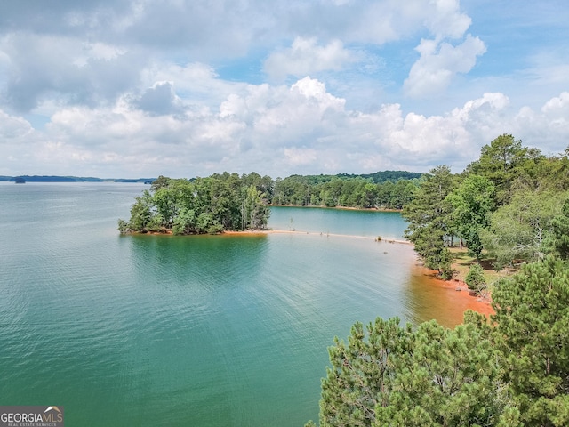 9240 Lisa Cir, Gainesville, GA 30506 - water view