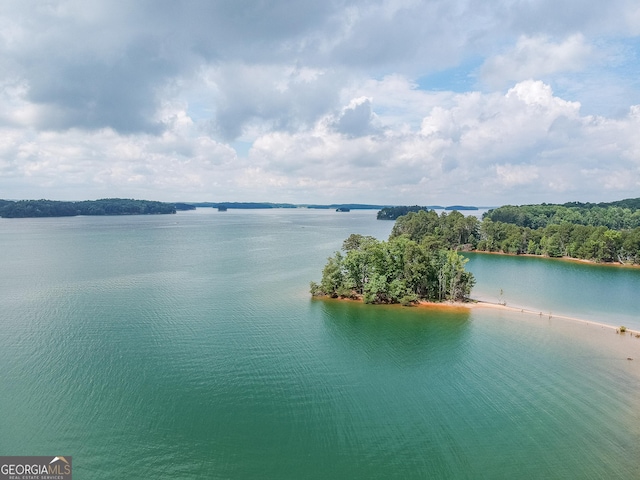 9240 Lisa Cir, Gainesville, GA 30506 - water view