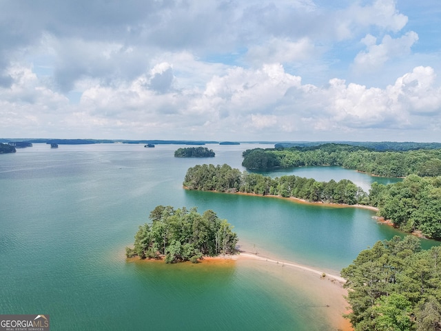 9240 Lisa Cir, Gainesville, GA 30506 - aerial view of a large body of water