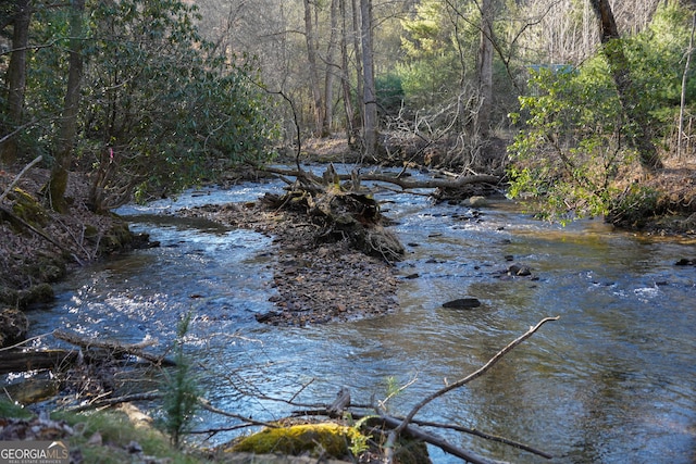 TRACT3 Big Crk, Blue Ridge, GA 30513 - exterior space featuring a view of trees