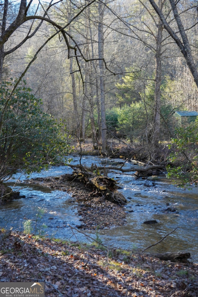 TRACT3 Big Crk, Blue Ridge, GA 30513 - view of nature featuring a view of trees