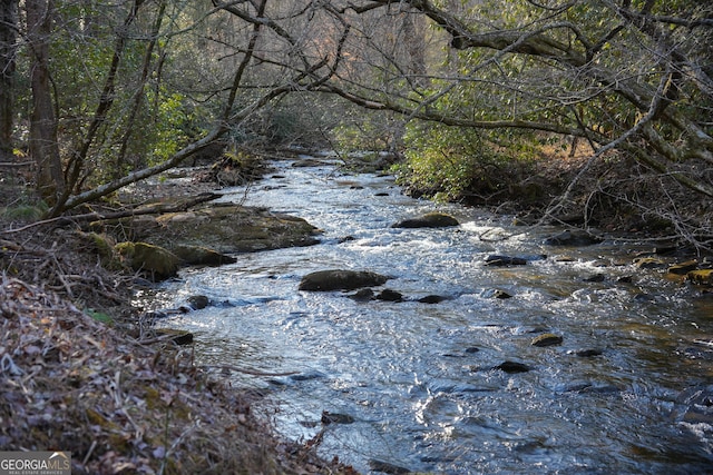 TRACT3 Big Crk, Blue Ridge, GA 30513 - view of landscape featuring a view of trees
