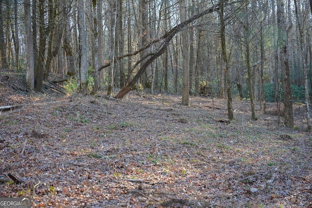 TRACT3 Big Crk, Blue Ridge, GA 30513 - view of nature with a forest view