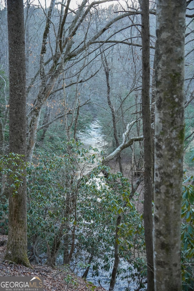TRACT3 Big Crk, Blue Ridge, GA 30513 - view of nature featuring a view of trees
