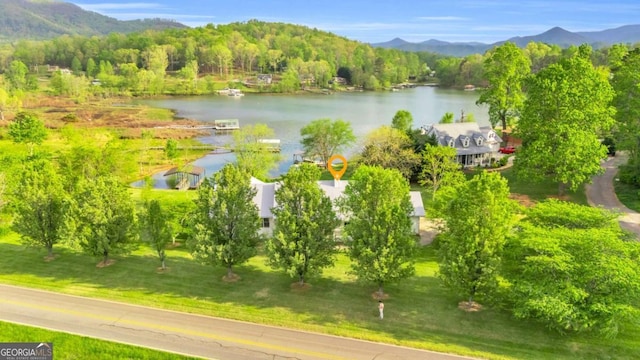 2180 Pine Lake Rd, Hiawassee, GA 30546 - birds eye view of property with a water and mountain view