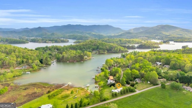 2180 Pine Lake Rd, Hiawassee, GA 30546 - aerial view featuring a water and mountain view