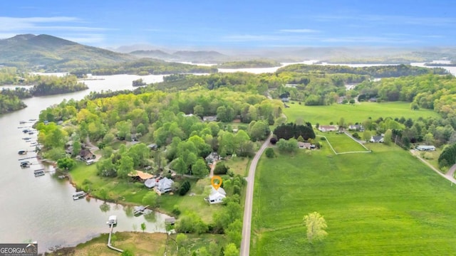 2180 Pine Lake Rd, Hiawassee, GA 30546 - bird's eye view with a water view