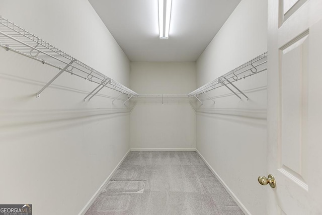 walk in closet with light colored carpet