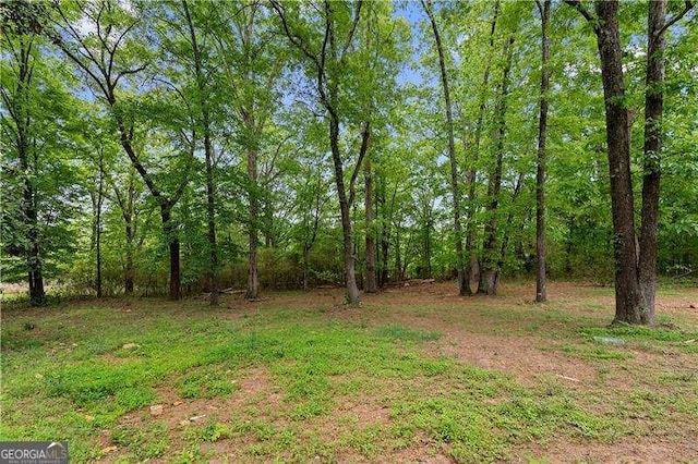 view of yard with a forest view