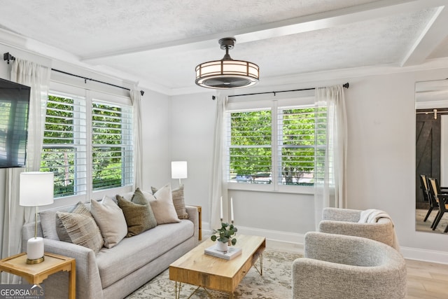 285 Lakemoore Dr NE Unit A, Atlanta, GA 30342 - living area featuring light wood-style floors, plenty of natural light, and beam ceiling