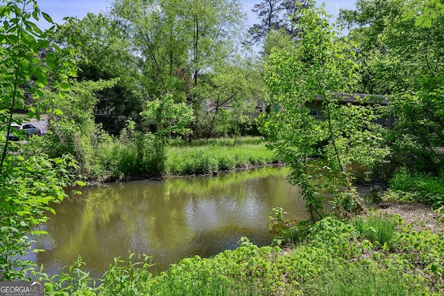 285 Lakemoore Dr NE Unit A, Atlanta, GA 30342 - property view of water