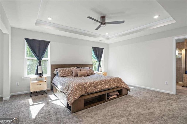 312 Wichita Way, Mcdonough, GA 30253 - bedroom featuring a tray ceiling, carpet, and baseboards