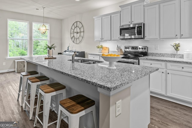 kitchen featuring wood finished floors, appliances with stainless steel finishes, an island with sink, and a sink