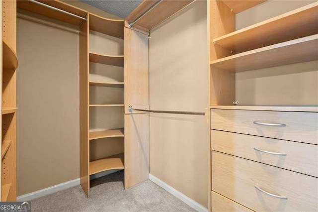 spacious closet featuring carpet